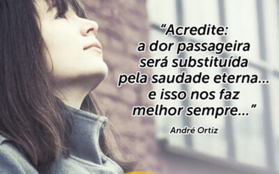 Palestra Motivacional : Acredite: a dor passageira será substituída pela saudade eterna….e isso nos faz sempre melhor… Palestrante André Ortiz