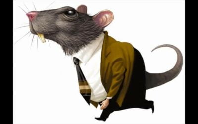 VOCÊ É UM HOMEM OU UM RATO ?