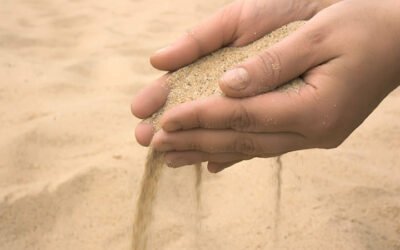 O QUE APRENDI COM UM SIMPLES GRÃO DE AREIA ?