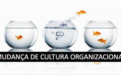 DESAFIOS DO LÍDER DE VENDAS ! UMA AULA DE CULTURA ORGANIZACIONAL ANDRÉ ORTIZ Ph.D VENDAS