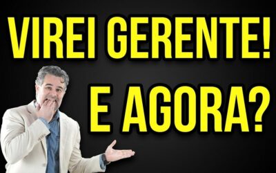 COMO SER UM BOM GESTOR NO BRASIL ? COMO EMPREENDER NO BRASIL ?