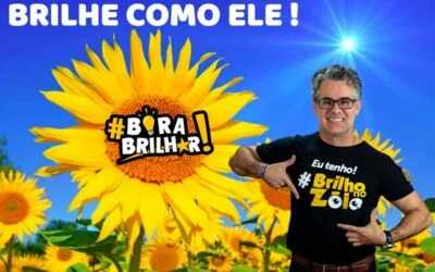 Como Brilhar na Vida como um Girassol ?