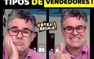 Que tipo de Vendedor Você é ?