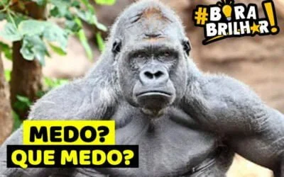 Vai com medo mesmo !