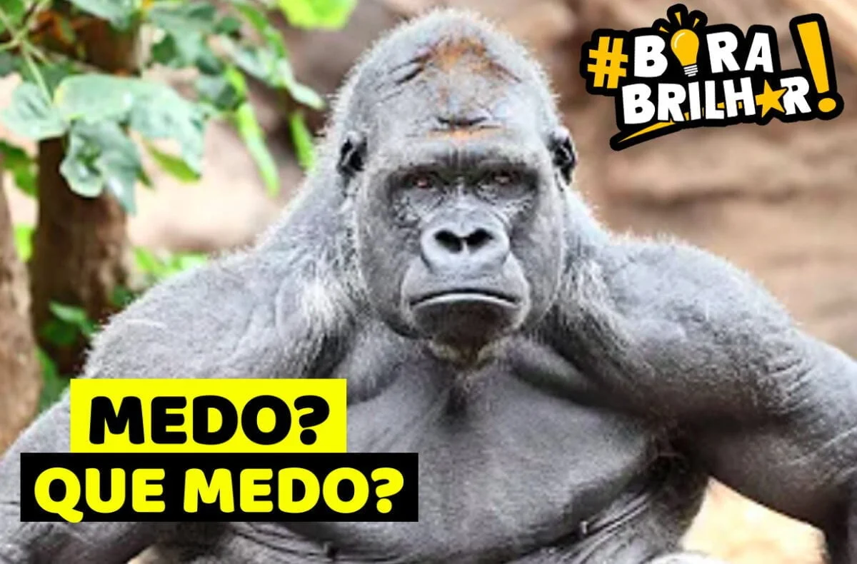 Vai_com_medo_mesmo_André_Ortiz