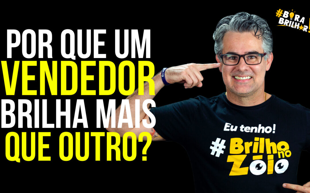 POR QUE UM VENDEDOR BRILHA MAIS QUE OUTRO?